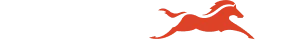 Steng Brand Logo