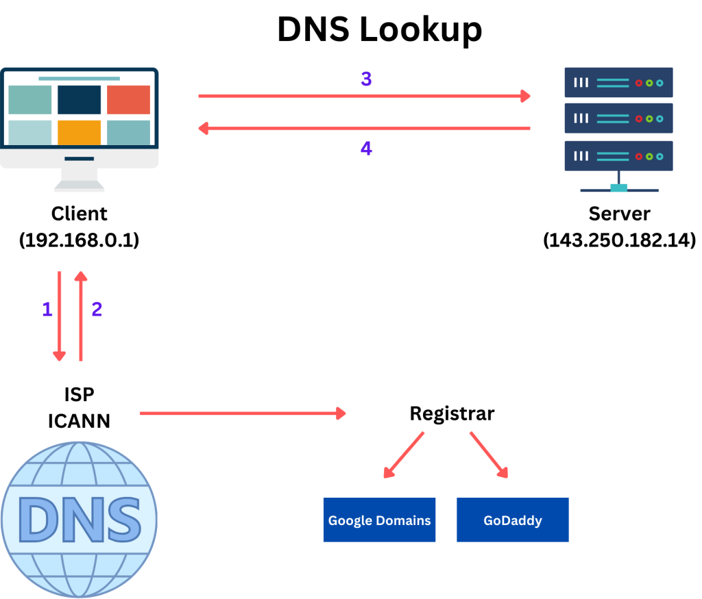 DNS Lookup